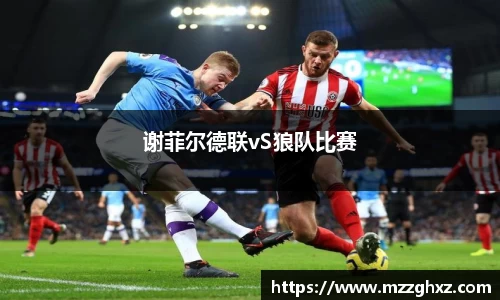 谢菲尔德联vS狼队比赛