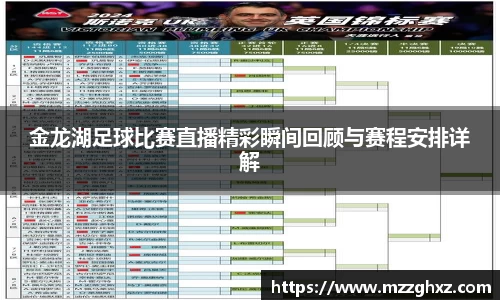 金龙湖足球比赛直播精彩瞬间回顾与赛程安排详解