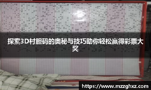 探索3D村胆码的奥秘与技巧助你轻松赢得彩票大奖